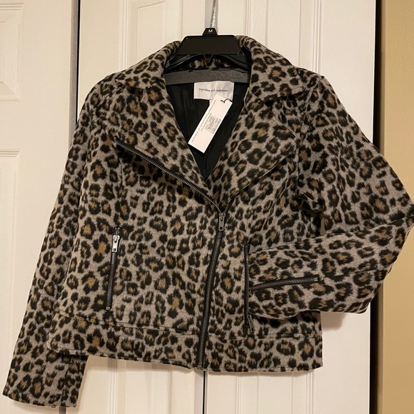 Cupcakes and Cashmere Moto Jacket - Picture 3 of 3